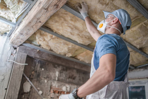 Best Specialized Insulation Services in Makakilo, HI