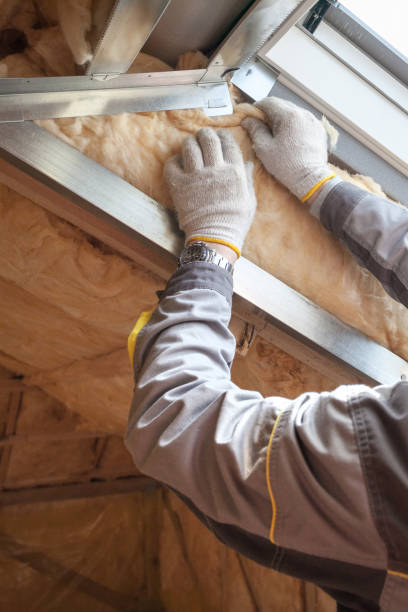 Types of Insulation We Offer in Makakilo, HI